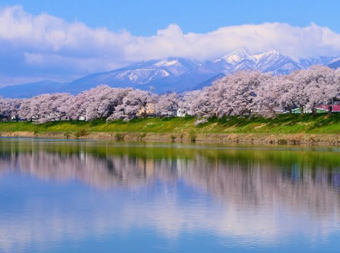 일본 자오 설벽과 천그루의 벚꽃길 (4박 5일)